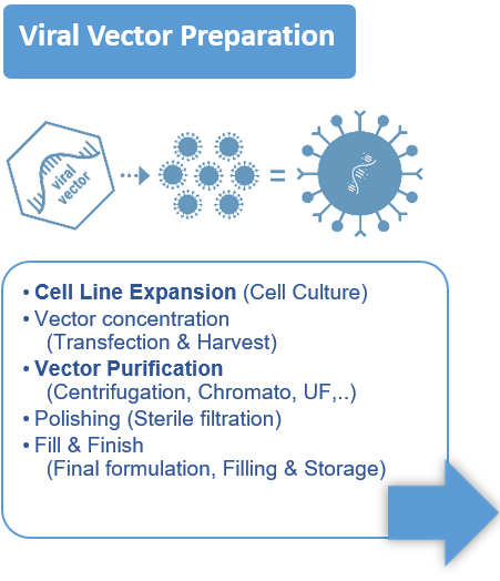 Viral vector Preparation cell line expansion vector purification