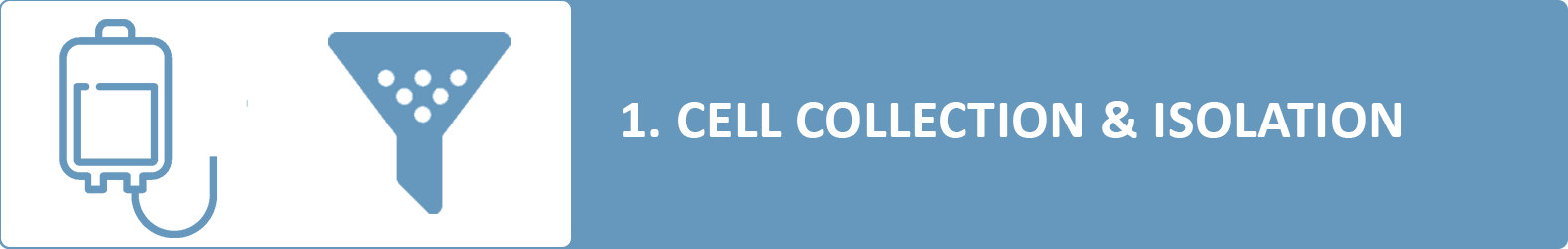 Cell collection & isolation