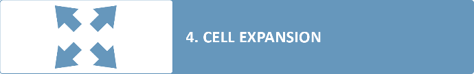 cell expansion