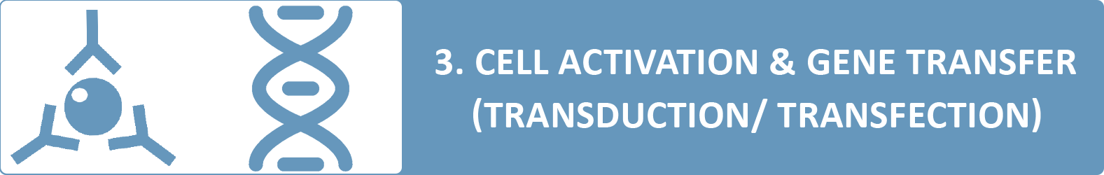 cell activation & gene transfer