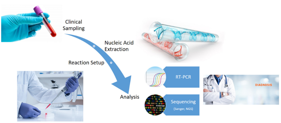 Molecular diagnostics workflow clinical sampling nucleic acid extraction areaction setup analysis RT-PCR Sequencing Sanger NGS