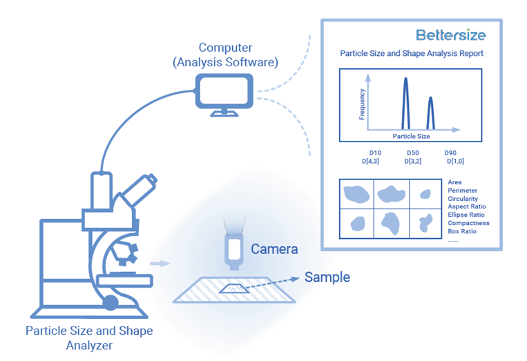 Particle size and shape analysis report