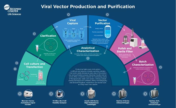 Production et purification de vecteurs viraux à l'aide d'ultracentrifugeuses