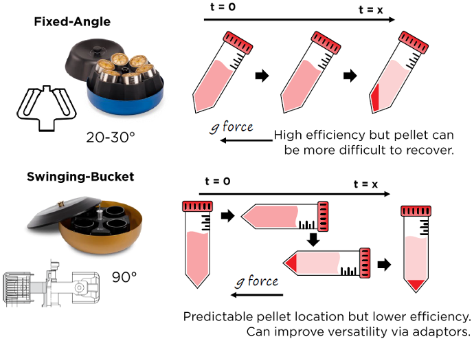Centrifuge Rotor Angle Tube g-force efficiency performance pellet harvest fixed-angle swing-out swinging-bucket