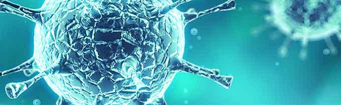 Viruses solutions detection prevention protection diagnostic detection characterization development r&d production vaccines covid-19