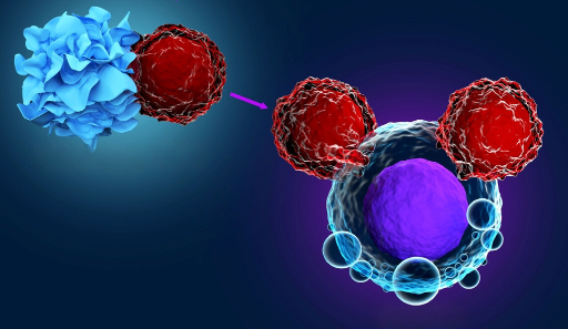 Immunothérapie cellules car-t cancer